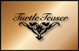 logo-turtle-teaser-thumb.jpg